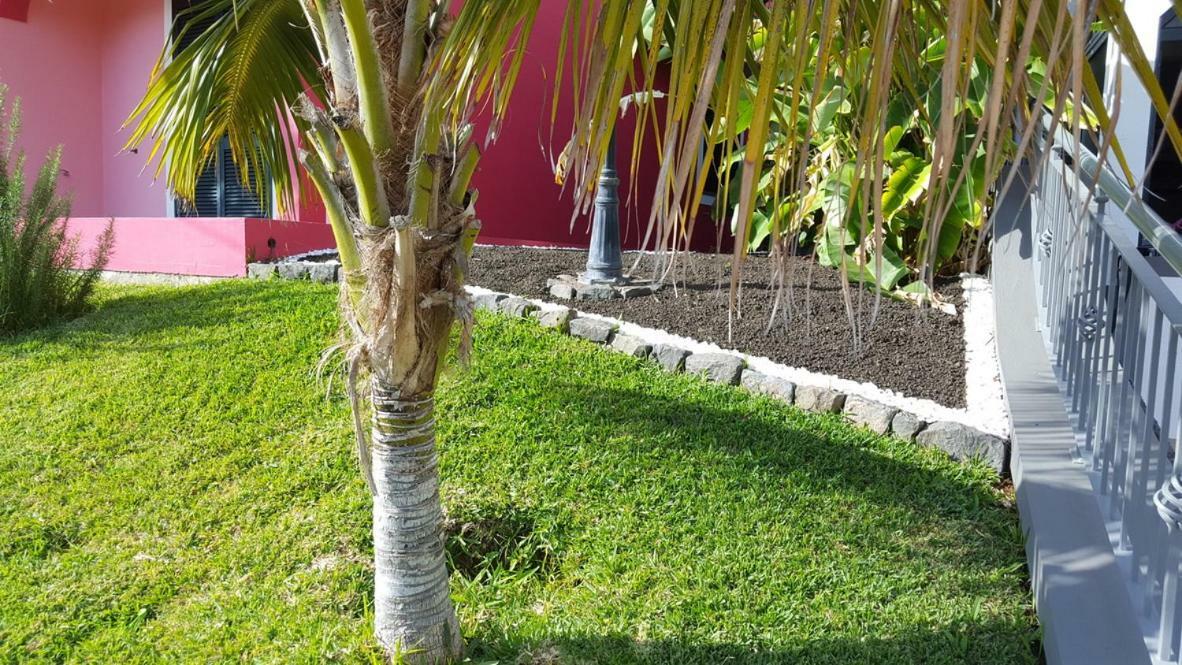 Appartamento Pink House Ponta do Sol  Esterno foto